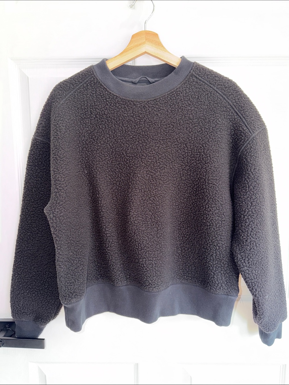 Everlane Charcoal Sherpa Crewneck Sweater